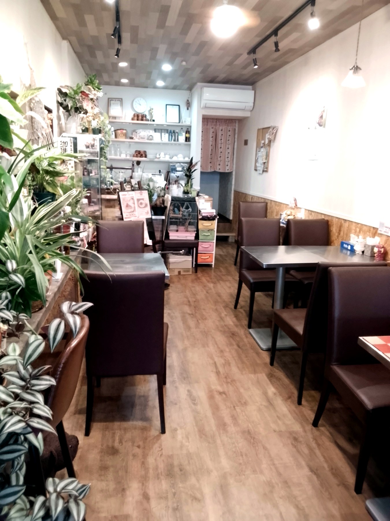 植物があるSaku-Cafeの店内